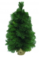 Mini Pine